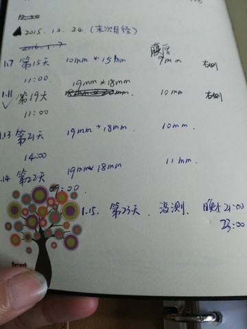journal_insert_pic_427268224