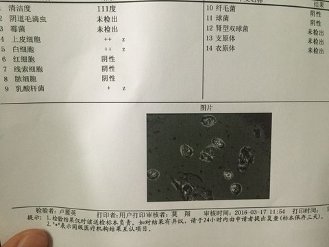 journal_insert_pic_428048770