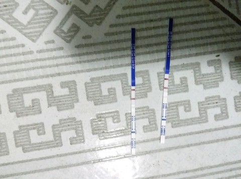 journal_insert_pic_428134025