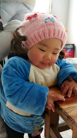 journal_insert_pic_429482107