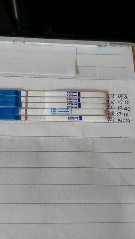 journal_insert_pic_429655114