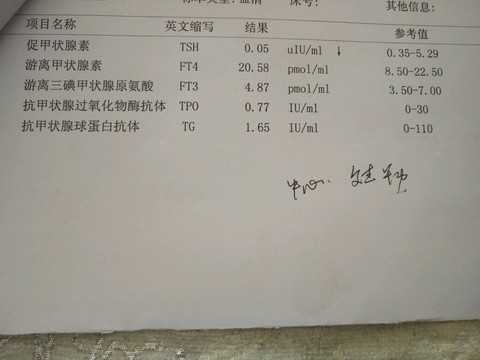 journal_insert_pic_430663614