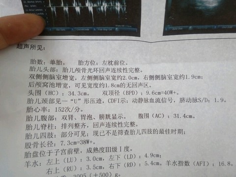journal_insert_pic_430574928