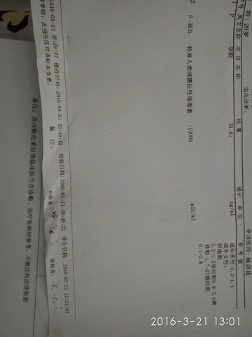 journal_insert_pic_431379535