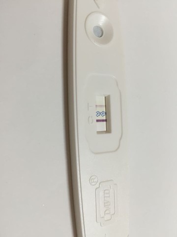 journal_insert_pic_431641162