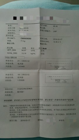 journal_insert_pic_431681246