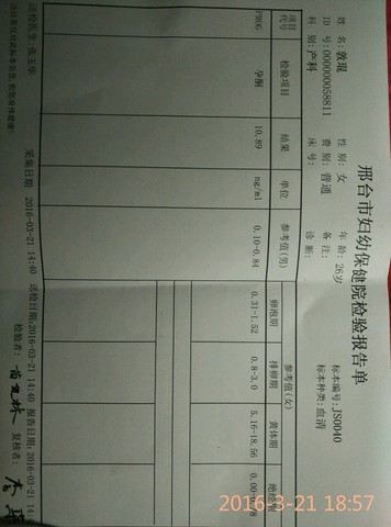 journal_insert_pic_431654400
