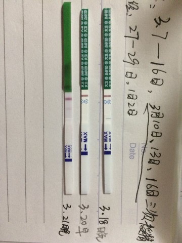 journal_insert_pic_431905953