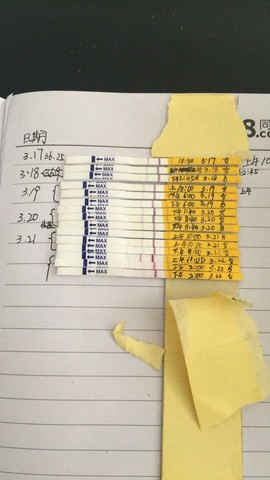 journal_insert_pic_432352177