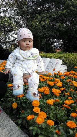 journal_insert_pic_432033787