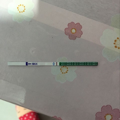 journal_insert_pic_432811629