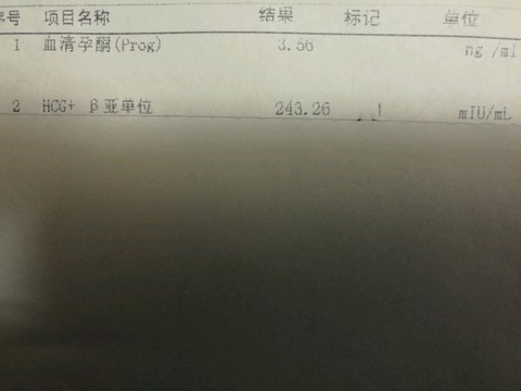 journal_insert_pic_433590301