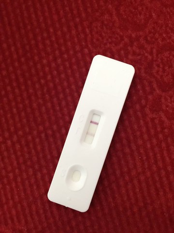 journal_insert_pic_433840993
