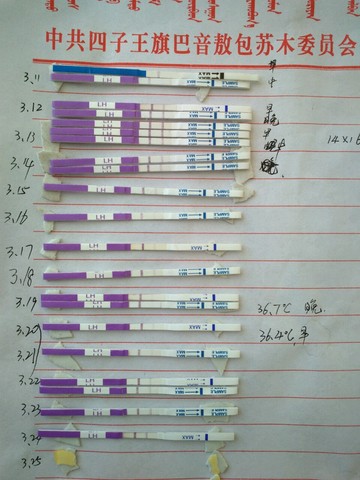 journal_insert_pic_434219074