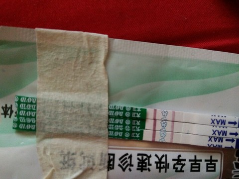 journal_insert_pic_435116516