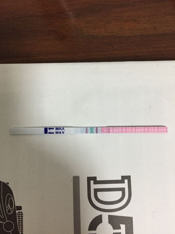 journal_insert_pic_435925851