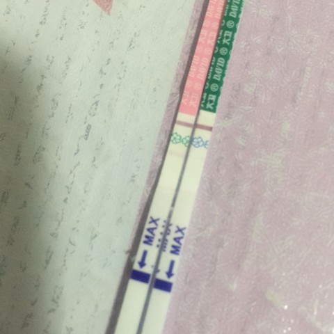 journal_insert_pic_435110170