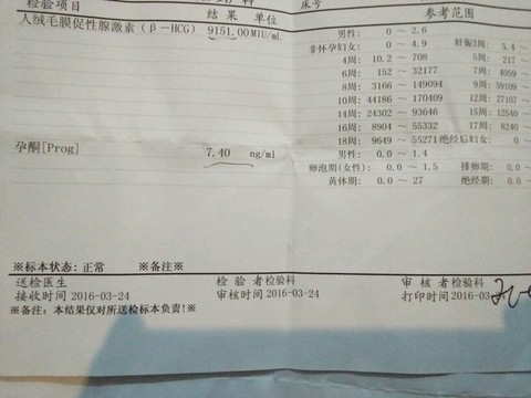 journal_insert_pic_435850826