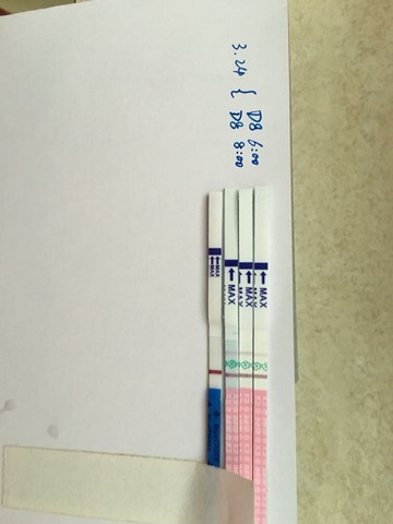 journal_insert_pic_435125669