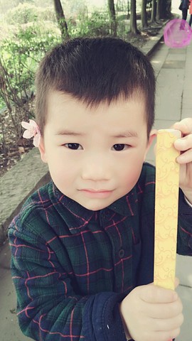 journal_insert_pic_436141247