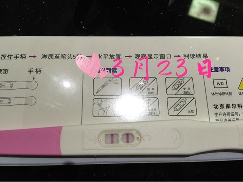 journal_insert_pic_437751846