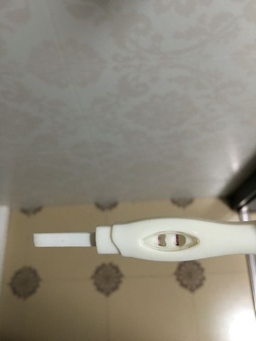 journal_insert_pic_438541206