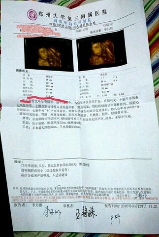 journal_insert_pic_439946064