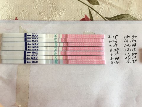 journal_insert_pic_440722096