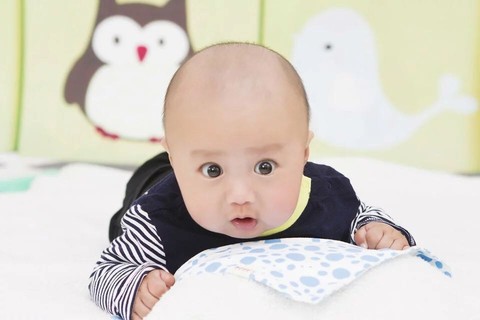 journal_insert_pic_440715309