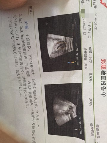 journal_insert_pic_441200773