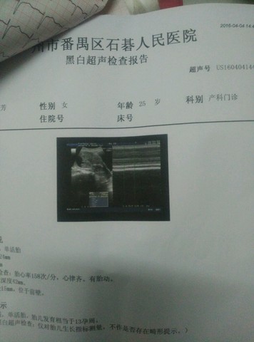 journal_insert_pic_444234144