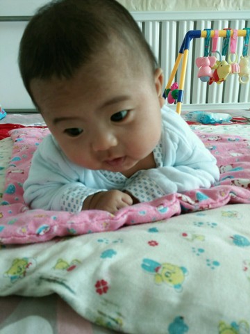 journal_insert_pic_444742524