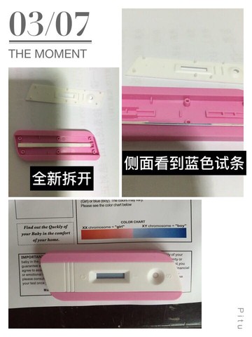journal_insert_pic_444383071
