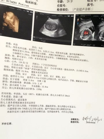 journal_insert_pic_444607922