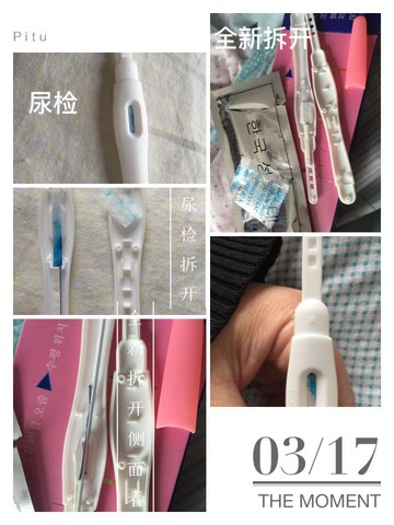 journal_insert_pic_444383088