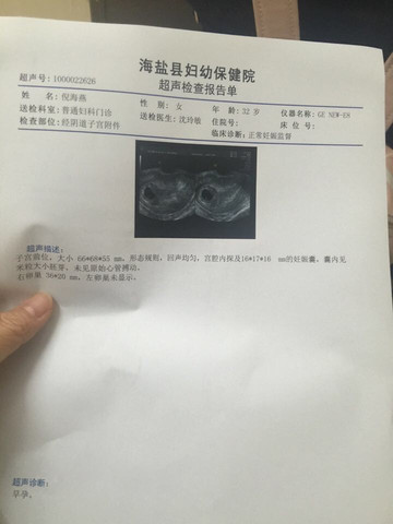 journal_insert_pic_445038680