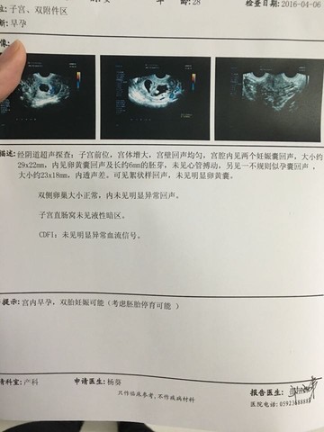 journal_insert_pic_445628875