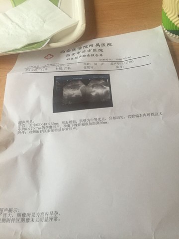 journal_insert_pic_445497841