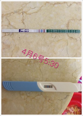 journal_insert_pic_445300653
