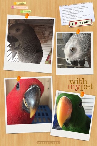 journal_insert_pic_445381417