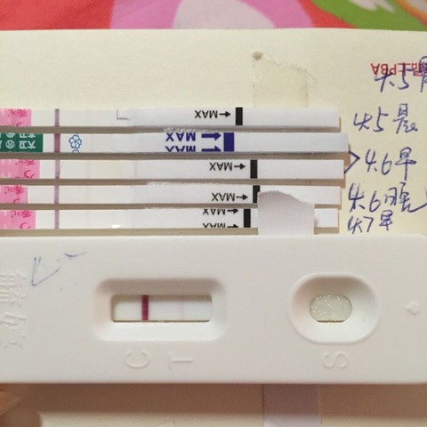 journal_insert_pic_446217502