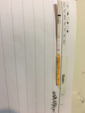 journal_insert_pic_447805374