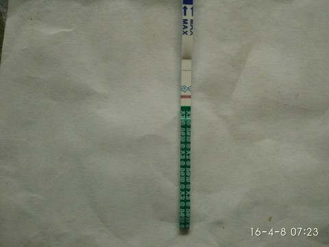 journal_insert_pic_447161367