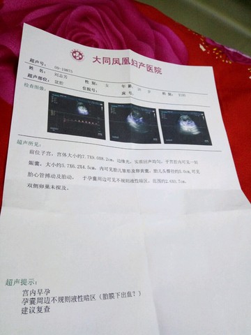 journal_insert_pic_448028902
