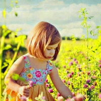 journal_insert_pic_448505716