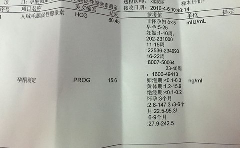 journal_insert_pic_447893092