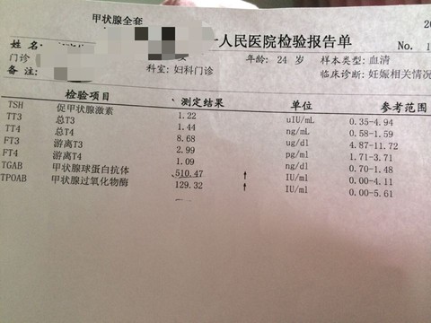 journal_insert_pic_448423604