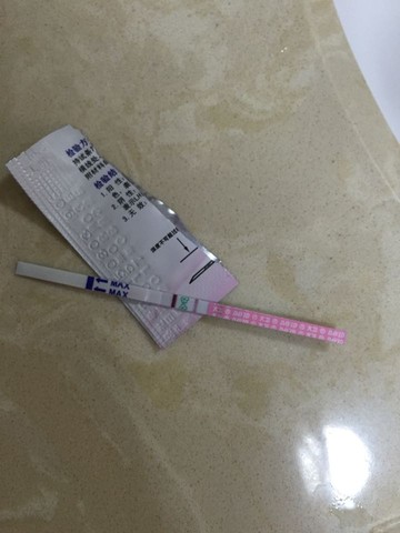 journal_insert_pic_450033656