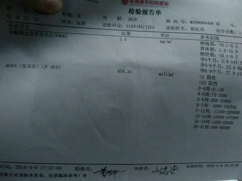 journal_insert_pic_450012403