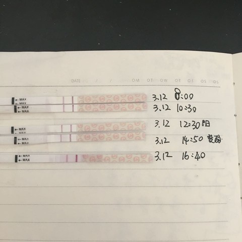 journal_insert_pic_450903615